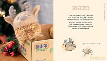 Cats In Hats - Rojiman [KSIĄŻKA]