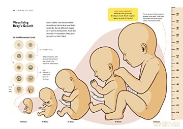 How To Dad - T.M. Detwiler [KSIĄŻKA]