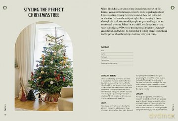 Festive - Francesca Stone [KSIĄŻKA]
