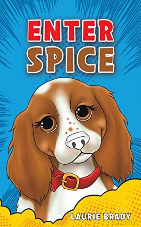 Enter Spice - Laurie Brady [KSIĄŻKA]