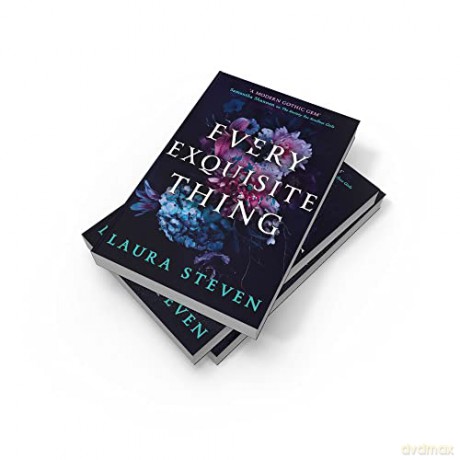 Every Exquisite Thing - Laura Steven [KSIĄŻKA]