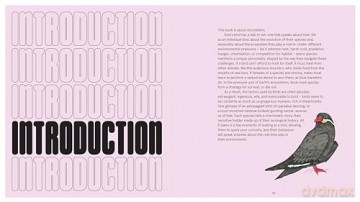 Birds With Personality - Georgia Angus [KSIĄŻKA]