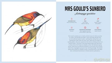 Birds With Personality - Georgia Angus [KSIĄŻKA]