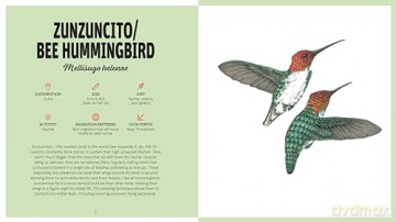 Birds With Personality - Georgia Angus [KSIĄŻKA]
