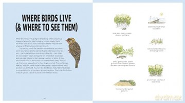 Birds With Personality - Georgia Angus [KSIĄŻKA]