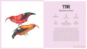 Birds With Personality - Georgia Angus [KSIĄŻKA]