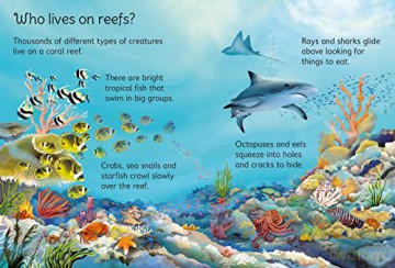 Coral Reefs - Kristie Pickersgill [KSIĄŻKA]