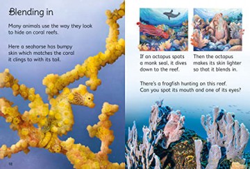 Coral Reefs - Kristie Pickersgill [KSIĄŻKA]