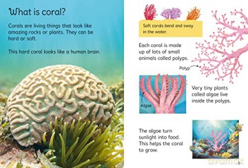 Coral Reefs - Kristie Pickersgill [KSIĄŻKA]