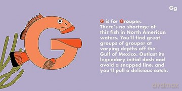 Fish Alphabet - Beck Feiner [KSIĄŻKA]