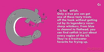 Fish Alphabet - Beck Feiner [KSIĄŻKA]