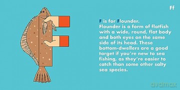 Fish Alphabet - Beck Feiner [KSIĄŻKA]