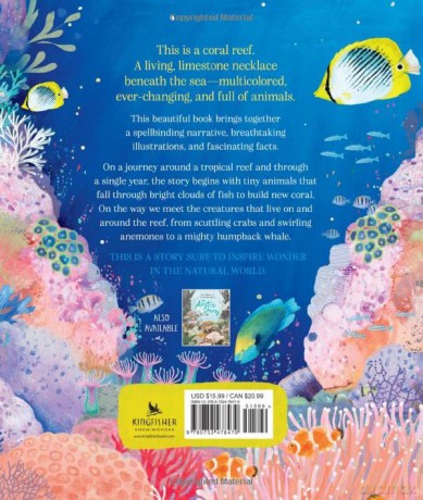 Coral Reef Story - Jane Burnard [KSIĄŻKA]