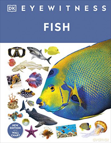 Fish - Dk (Ed) [KSIĄŻKA]