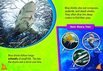 Blue Sharks - Thomas Adamson [KSIĄŻKA]