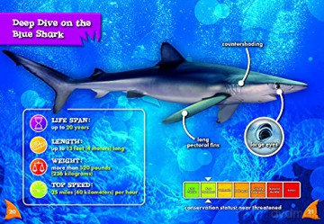 Blue Sharks - Thomas Adamson [KSIĄŻKA]