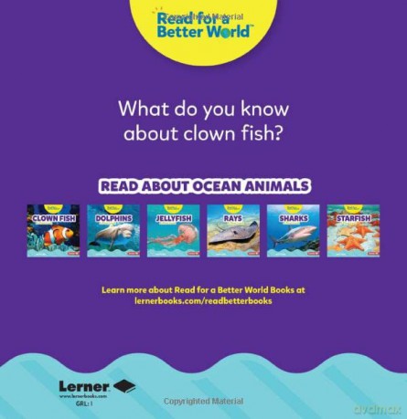 Clown Fish A First Look - Percy Leed [KSIĄŻKA]