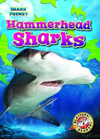 Hammerhead Sharks - Rebecca Pettiford [KSIĄŻKA]