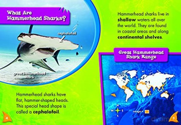 Hammerhead Sharks - Rebecca Pettiford [KSIĄŻKA]