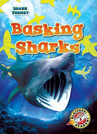 Basking Sharks - Rebecca Pettiford [KSIĄŻKA]