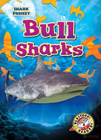 Bull Sharks - Rebecca Pettiford [KSIĄŻKA]