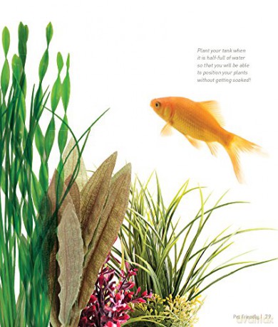 Goldfish [KSIĄŻKA]