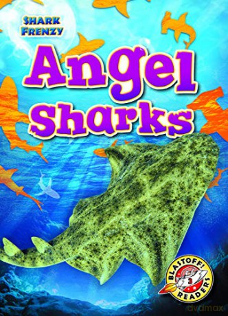 Angel Sharks - Rebecca Pettiford [KSIĄŻKA]