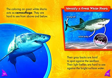 Great White Sharks - Thomas Adamson [KSIĄŻKA]