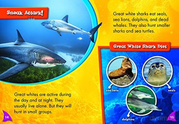 Great White Sharks - Thomas Adamson [KSIĄŻKA]
