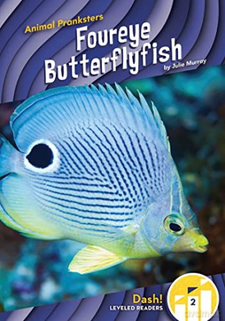 Foureye Butterflyfish - Julie Murray [KSIĄŻKA]