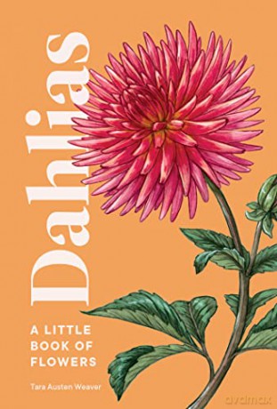 Dahlias - Austen Tara Weaver [KSIĄŻKA]