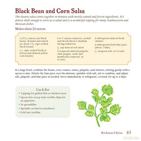 Homemade Condiments: Artisan Recipes Usi - Jessica Harlan [KSIĄŻKA]