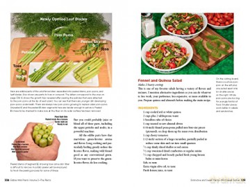 Edible Wild Plants - John Kallas [KSIĄŻKA]