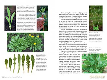 Edible Wild Plants - John Kallas [KSIĄŻKA]