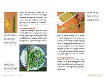 Edible Wild Plants - John Kallas [KSIĄŻKA]