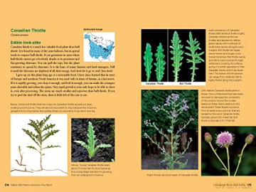 Edible Wild Plants - John Kallas [KSIĄŻKA]