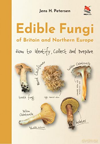 Edible Mushrooms Of Britain And Norther - Jens H. Petersen [KSIĄŻKA]