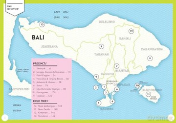 Bali - Alison Pace [KSIĄŻKA]