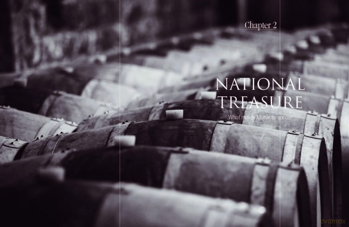 Chateau Musar [KSIĄŻKA]