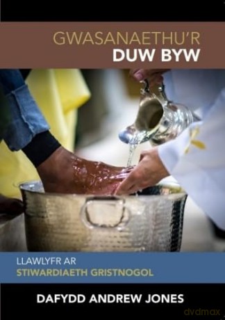 Gwasanaethur Duw Byw Llawlyfr Ar Stiward - JonesDafydd Andrew [KSIĄŻKA]