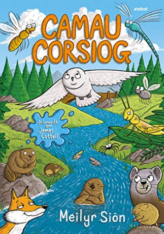 Camau Corsiog - Si NMeilyr [KSIĄŻKA]