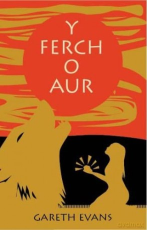 Ferch O Aur Y - EvansGareth [KSIĄŻKA]