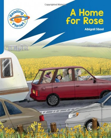 Home For Rose Target Practice Blue - Abigail Steel [KSIĄŻKA]