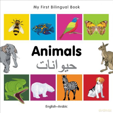 Animals Englisha - Milet [KSIĄŻKA]
