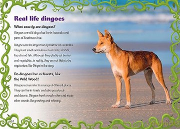 Diary Of A Big Bad Good Dingo Yr 2 Bk 4 - Inbali Iserles [KSIĄŻKA]