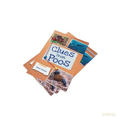 Clues From Poos Yr 3 Bk 9 - Isabel Thomas [KSIĄŻKA]