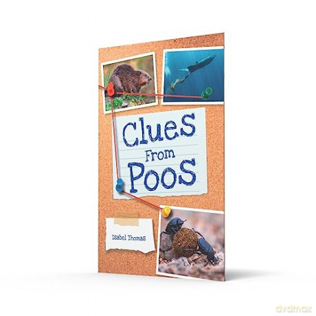 Clues From Poos Yr 3 Bk 9 - Isabel Thomas [KSIĄŻKA]