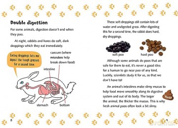 Clues From Poos Yr 3 Bk 9 - Isabel Thomas [KSIĄŻKA]