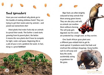 Clues From Poos Yr 3 Bk 9 - Isabel Thomas [KSIĄŻKA]