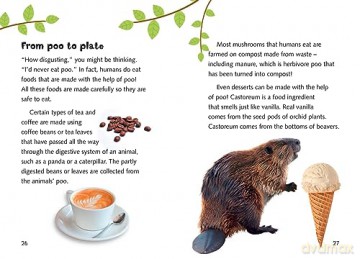 Clues From Poos Yr 3 Bk 9 - Isabel Thomas [KSIĄŻKA]